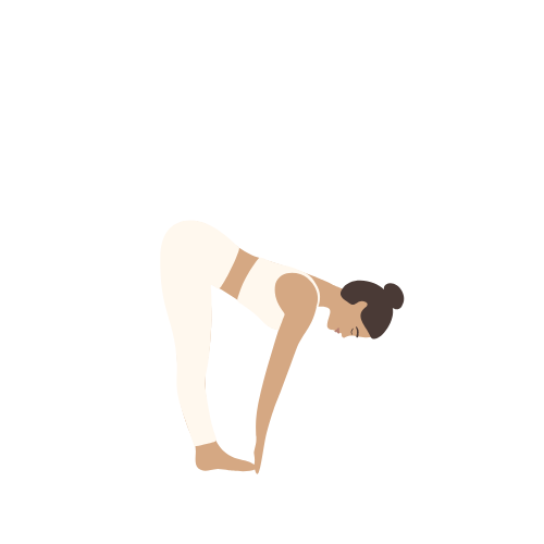 Rovny-predklon-Ardha-Uttanasana (1)